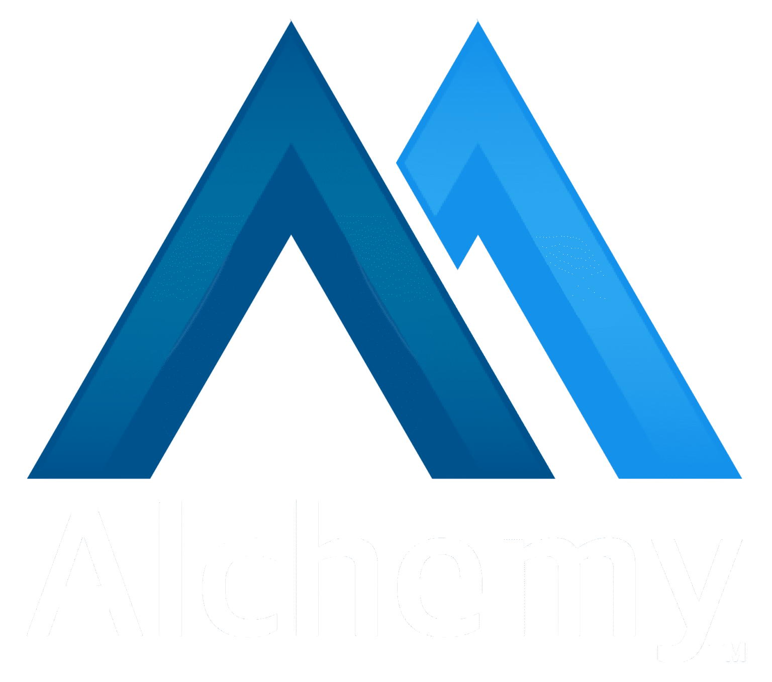 Home - Merlin Search Technologies